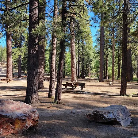 Four Seasons Getaway-Private Hot Spa With Pine Tree Views-Walk To Village And Pineknot Trailhead-Plus King Bed! Lac Big Bear Extérieur photo