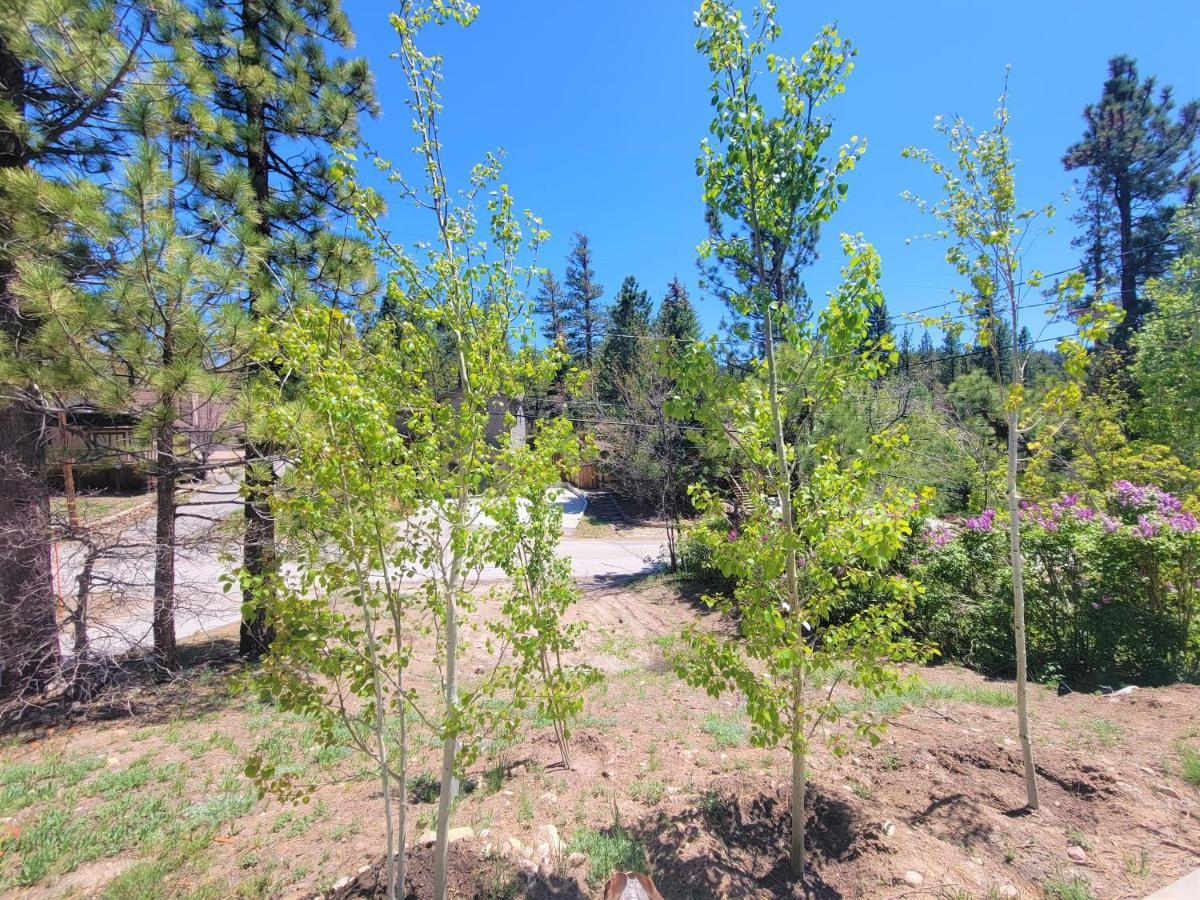 Four Seasons Getaway-Private Hot Spa With Pine Tree Views-Walk To Village And Pineknot Trailhead-Plus King Bed! Hébergement de vacances Lac Big Bear